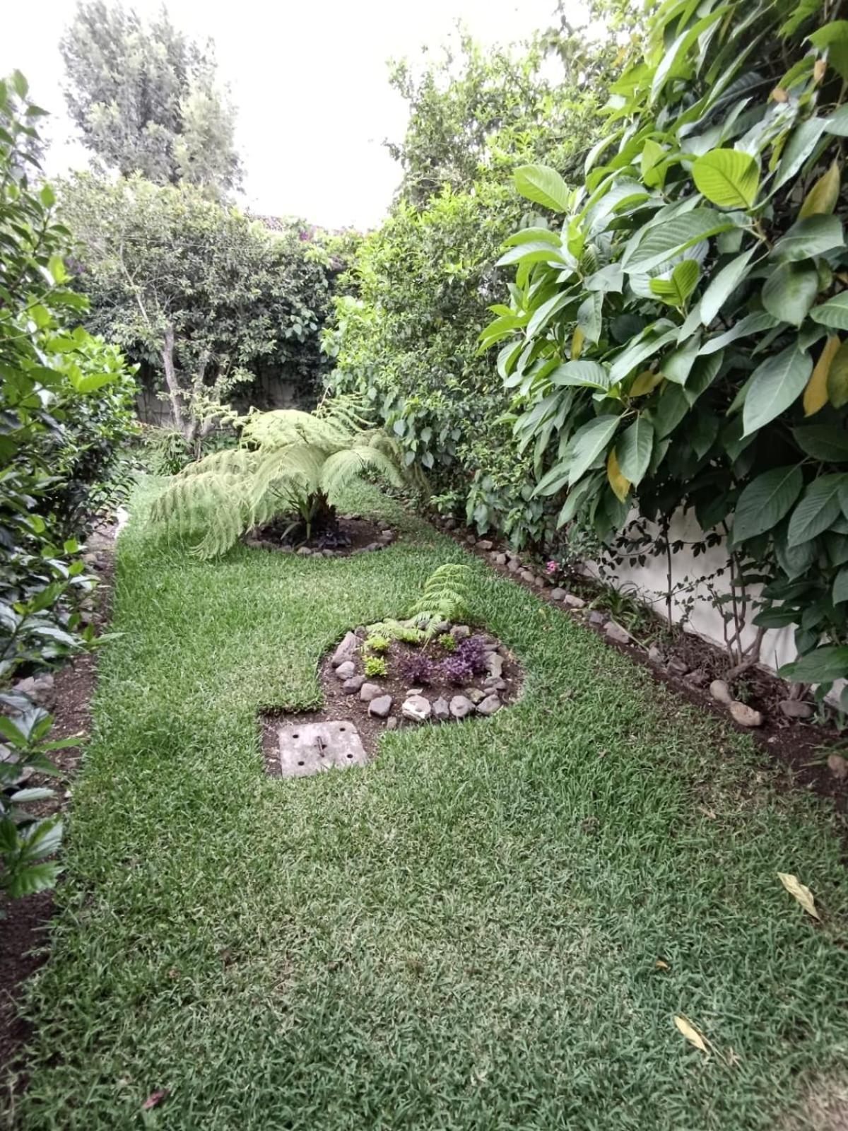 Donde Lico Hotel Antigua Bagian luar foto